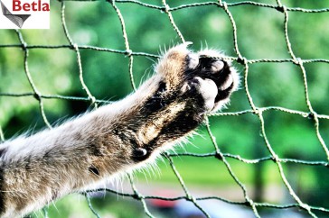 Siatki Radom - Siatka ochrona do balkonu dla kota dla terenów Radomia